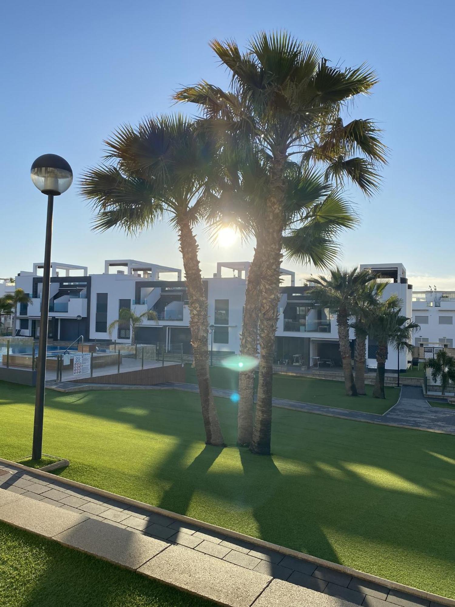 Punta Prima Oasis Beach Fase 9 Torrevieja Eksteriør bilde